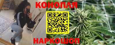 шишки Пугачёв
