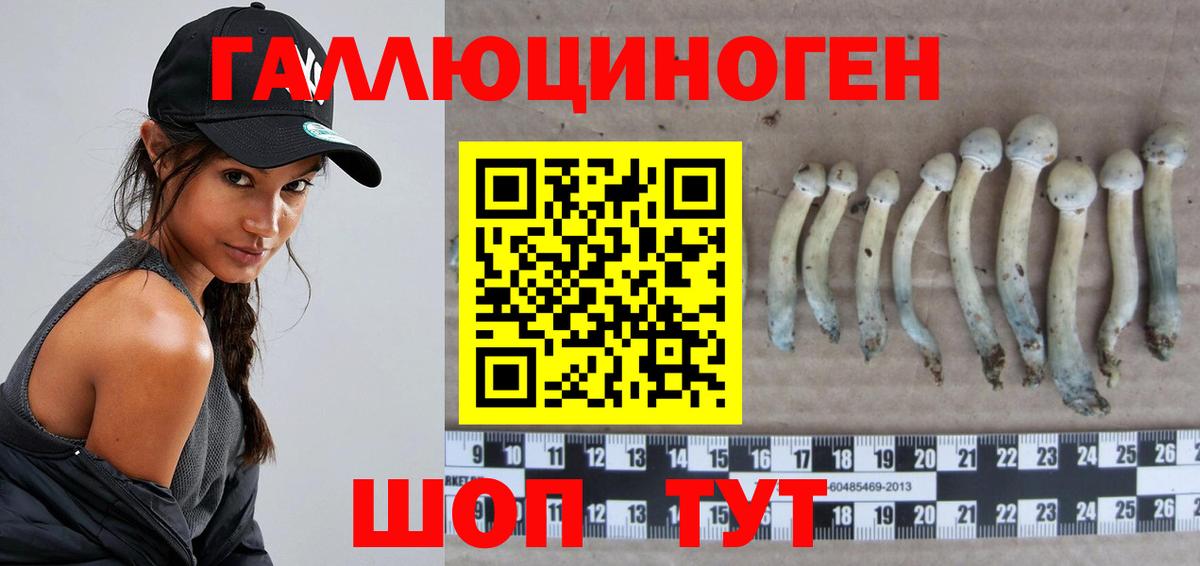 Псилоцибиновые грибы MAGIC MUSHROOMS  Вход с VPN  Ревда 