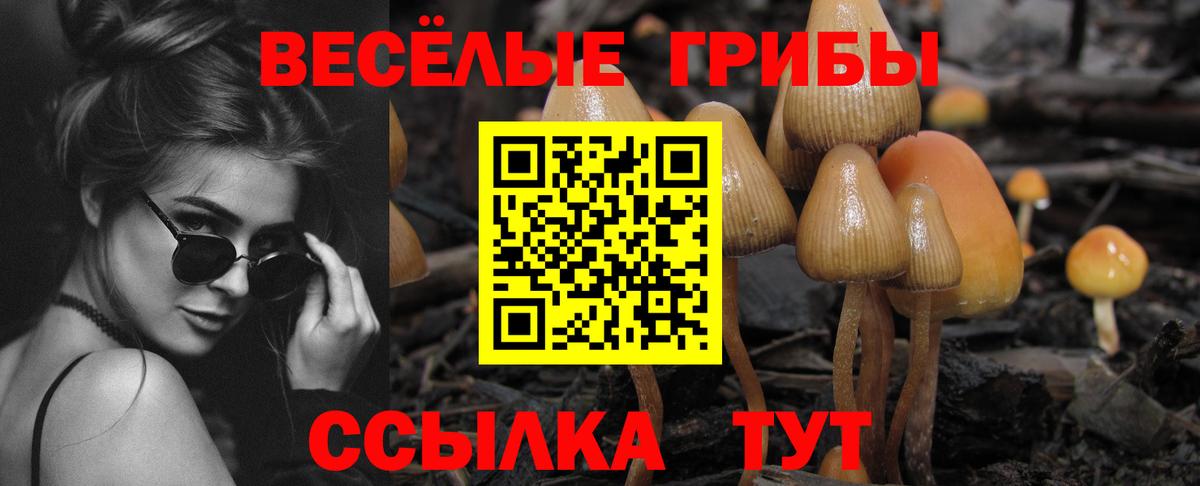 Псилоцибиновые грибы Psilocybine cubensis Ревда